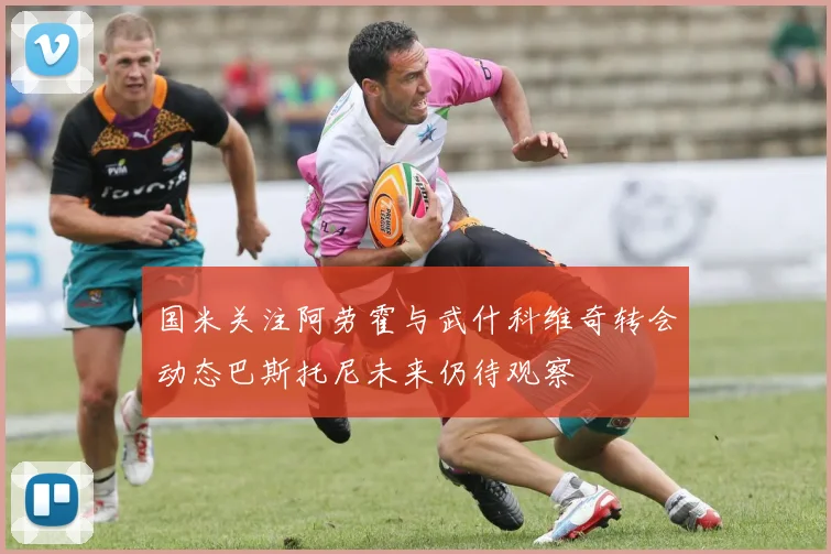 国米关注阿劳霍与武什科维奇转会动态巴斯托尼未来仍待观察